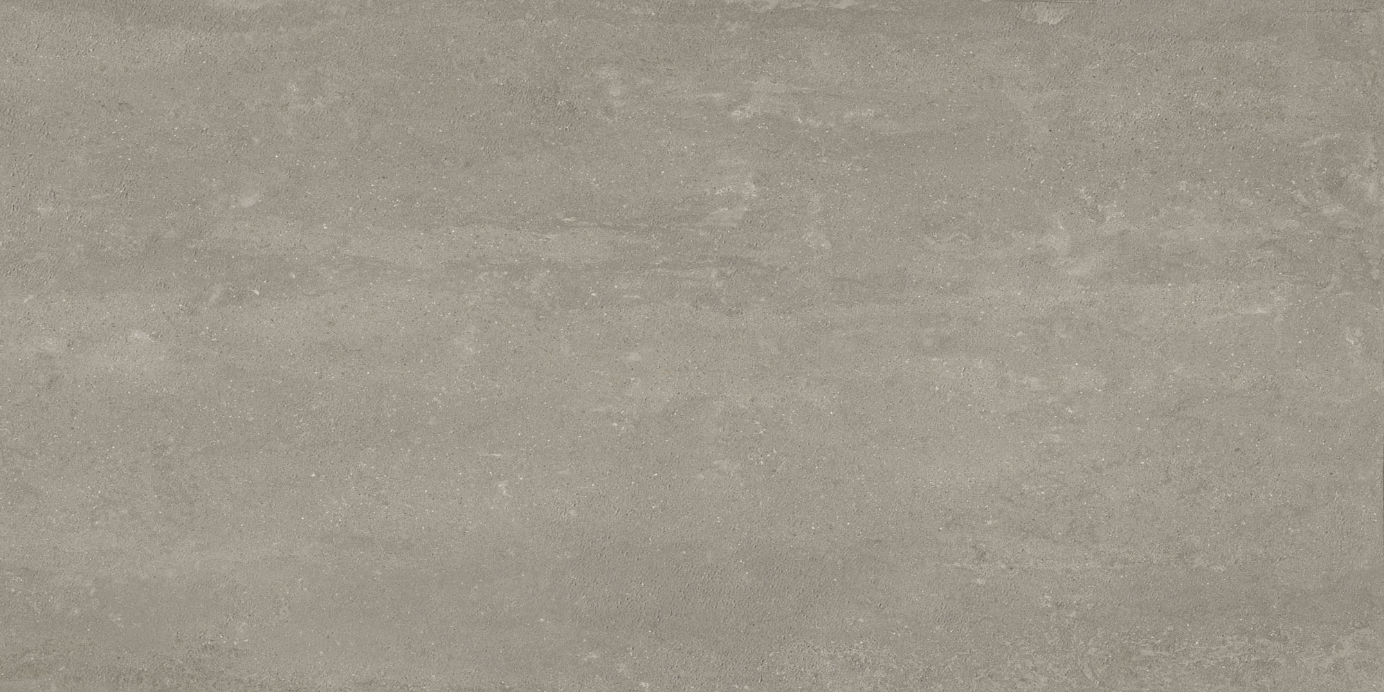 Silent Vein